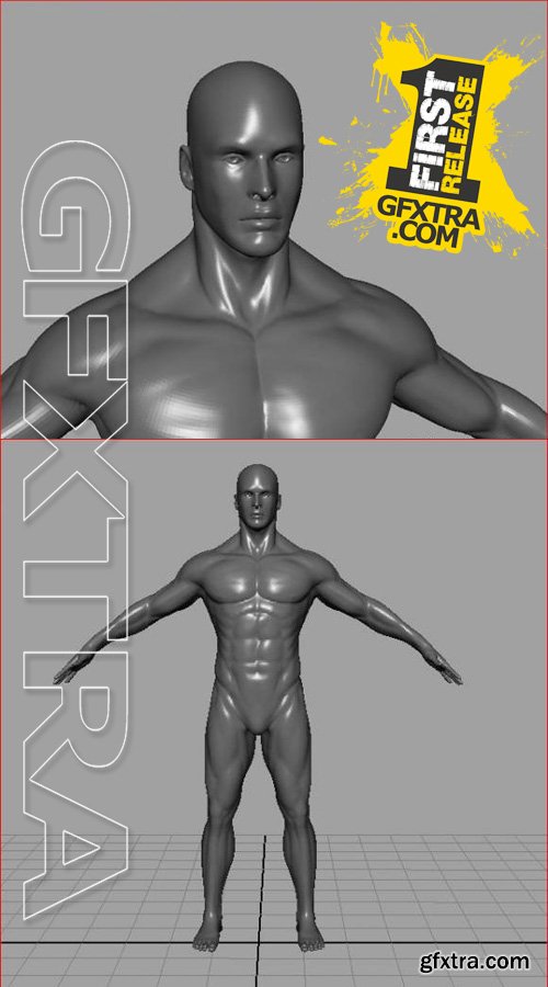 3D Model - High Poly Male