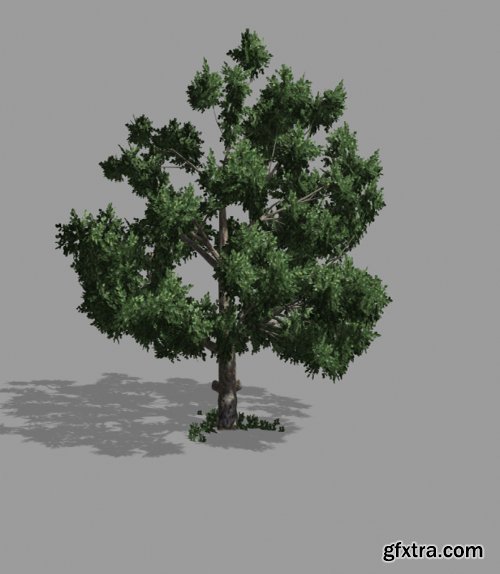 3D Model - Tree Alan 2