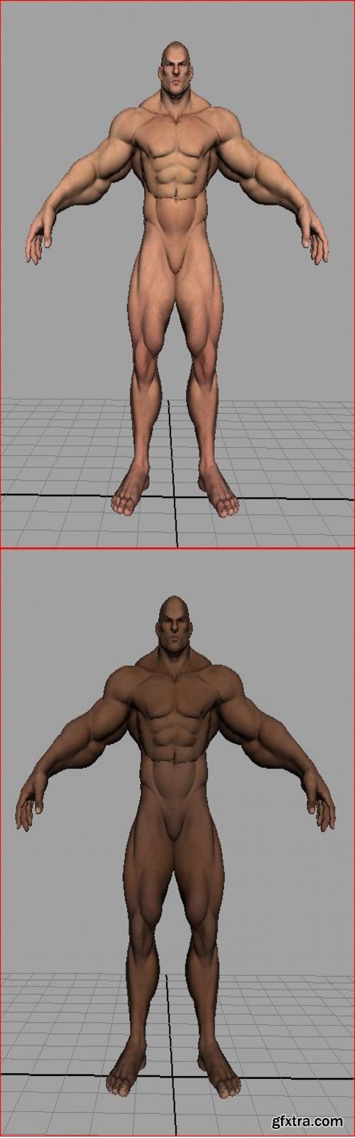 3D Model - Human Male