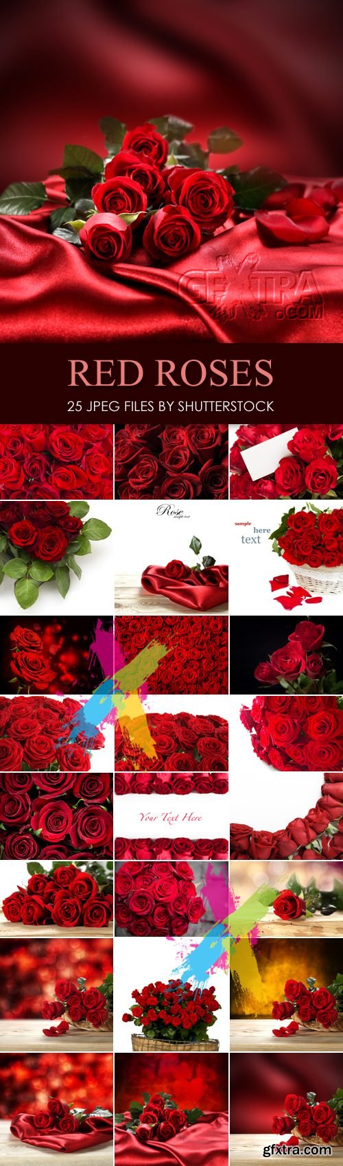 Stock Photo - Amazing Red Roses