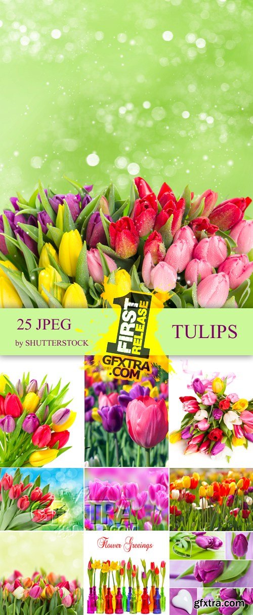 Tulips 25xJPG