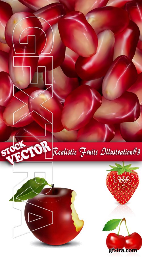 Stock Vector - Realistic Fruits Illustration#3