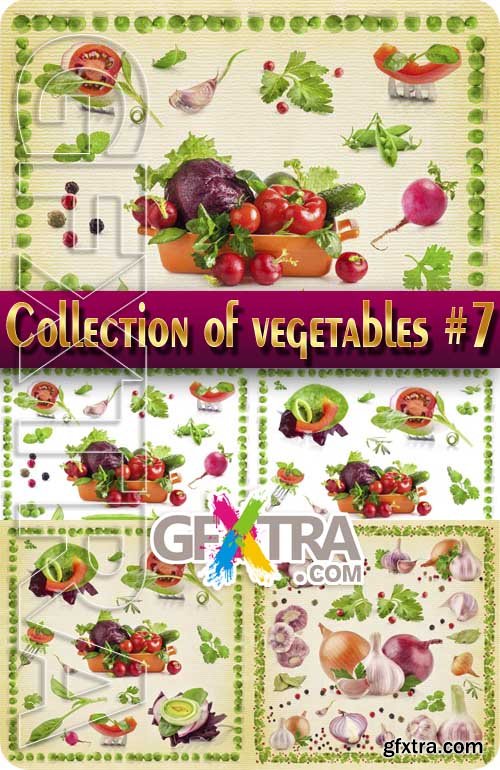 Food. Mega Collection. Vegetables #7 - Stock Photo