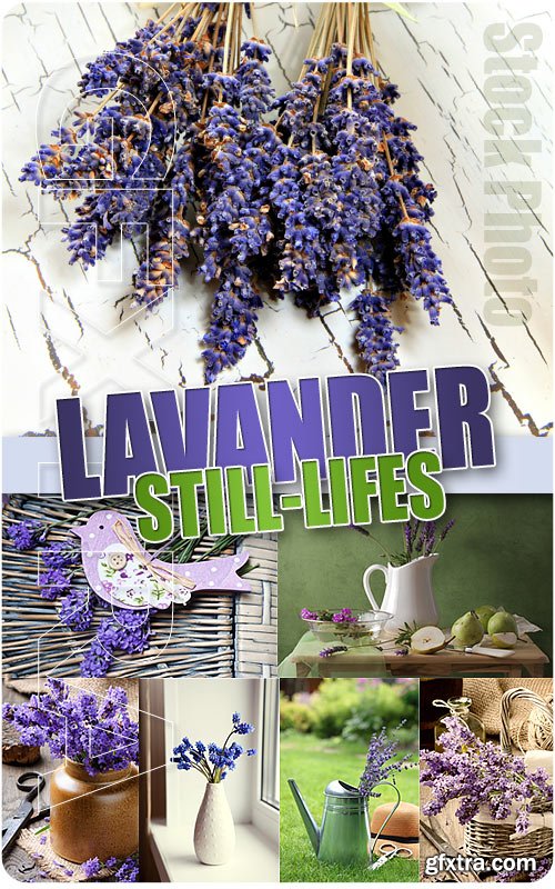 Lavender Still-lifes - UHQ Stock Photo