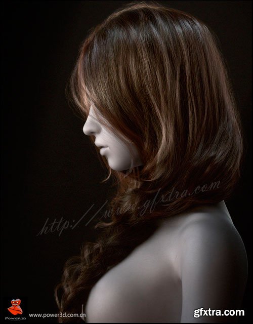 Making Realistic the Hair by Shang-peng Leng