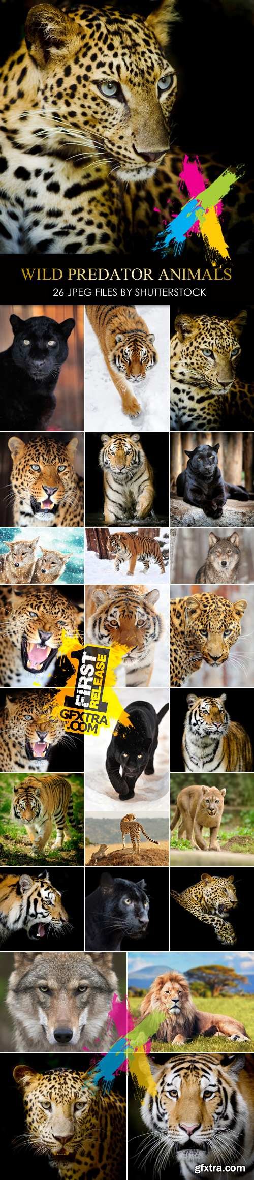 Stock Photo - Wild Predator Animals 25xJPG