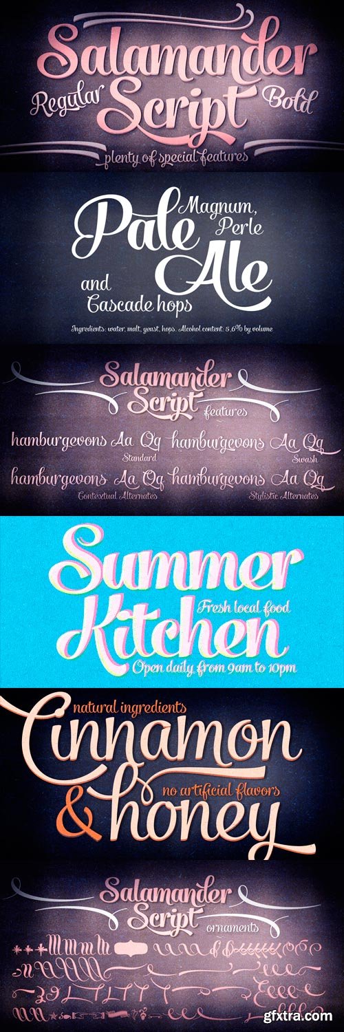 Salamander Font Family - 4 Fonts for $65