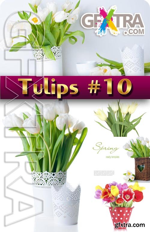 Flowers. Tulips #10 - Stock Photo