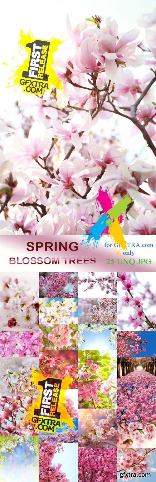 Spring Blossom Trees 25xJPG