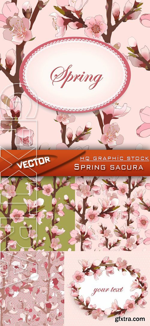 Stock Vector - Spring sacura