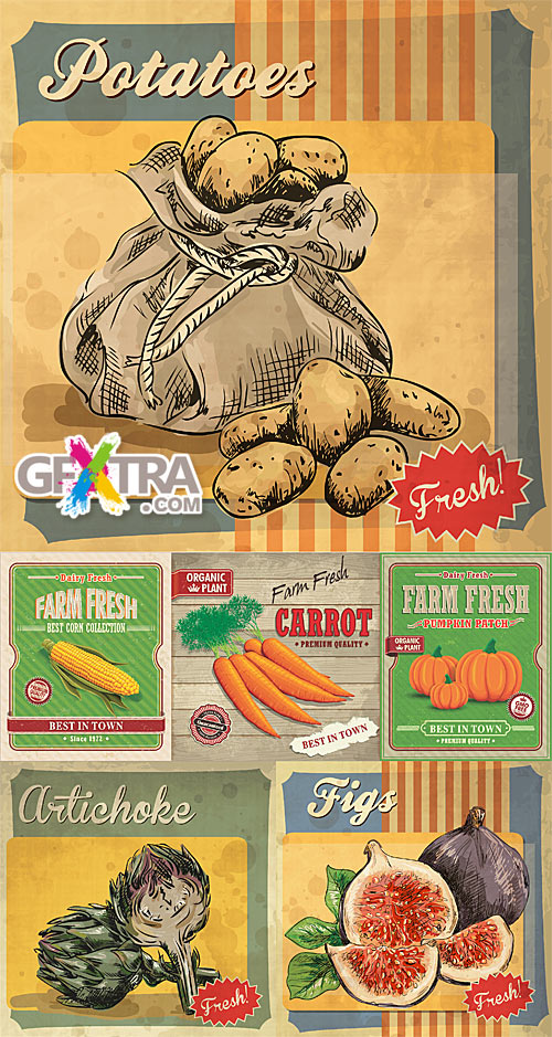 Vintage posters with farm fresh vegetables