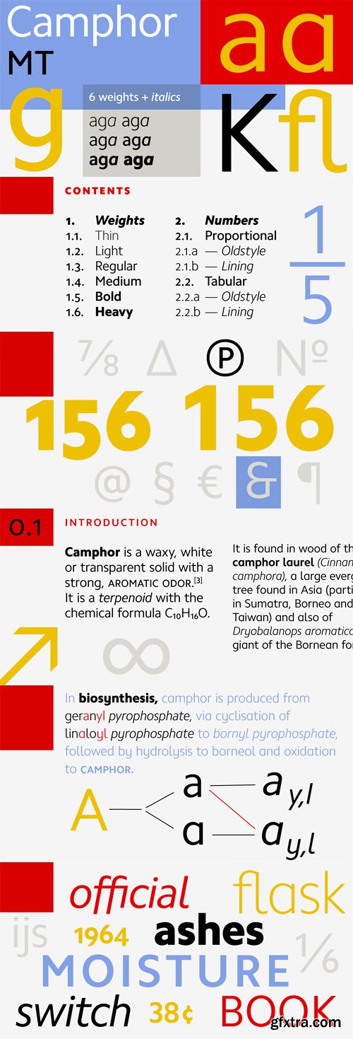 Camphor Pro Font Family - 12 Fonts for €696