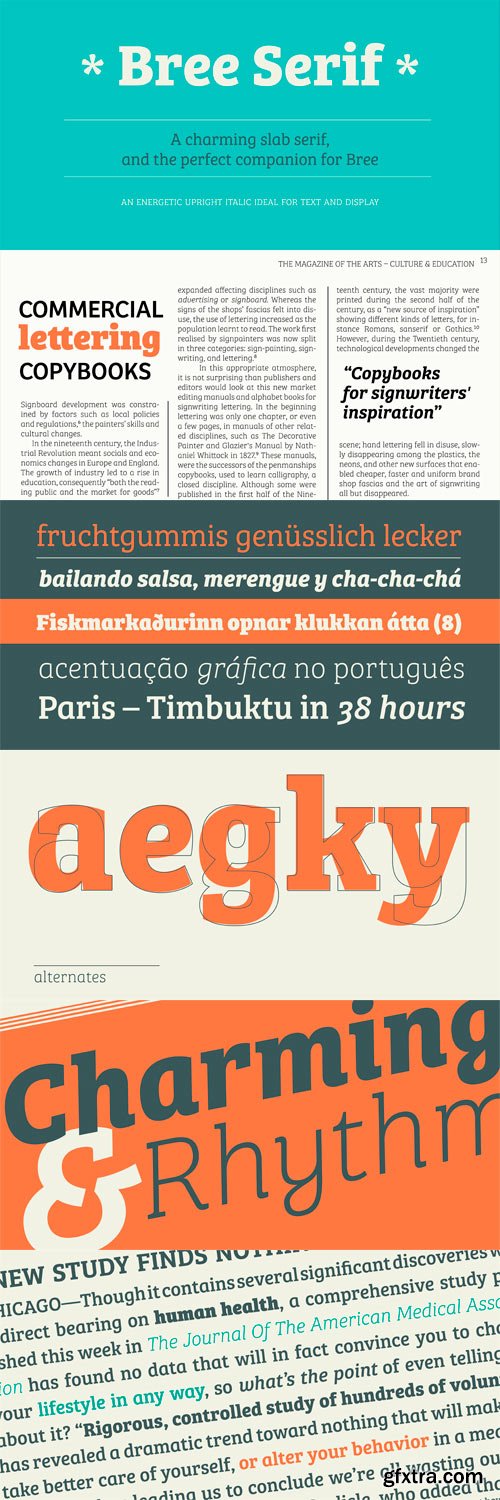 Bree Serif Font Family - 12 Fonts for $365