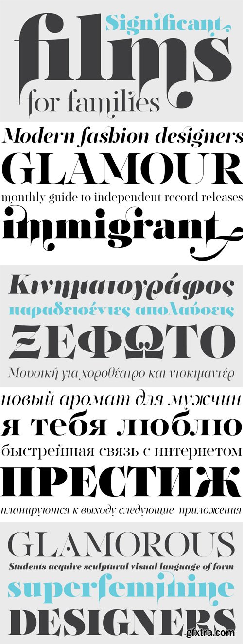 PF Regal Finesse Pro Font Family - 10 Fonts for €625
