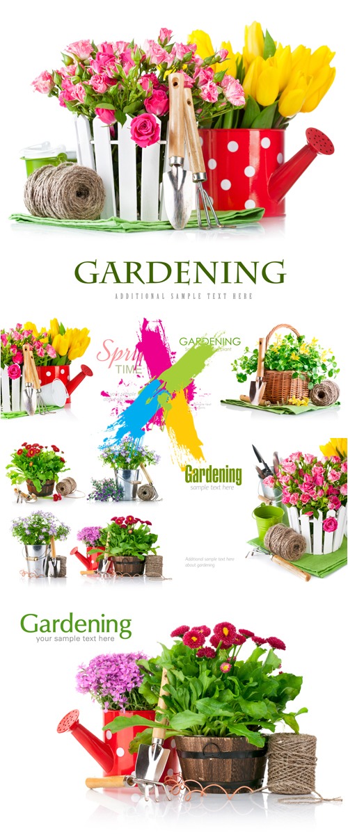 Stock Photo - Spring Gardening Cards 2