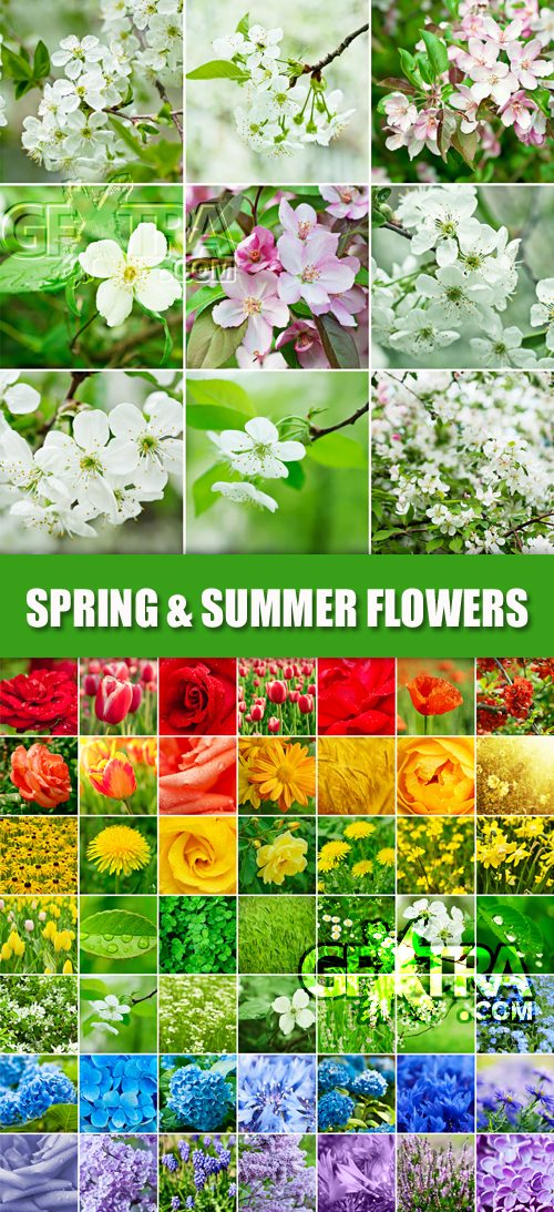 Stock Photo - Spring & Summer Flowers Collage