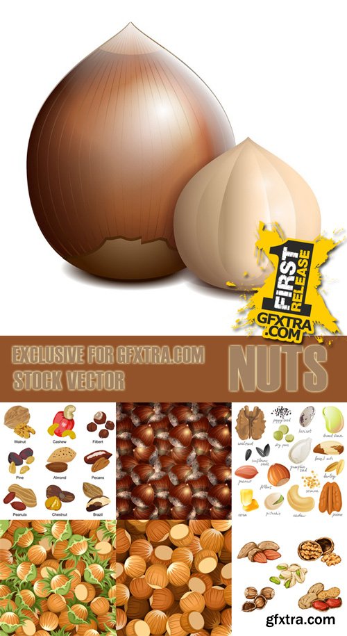 Shutterstock - Nuts Collection, 25xEps