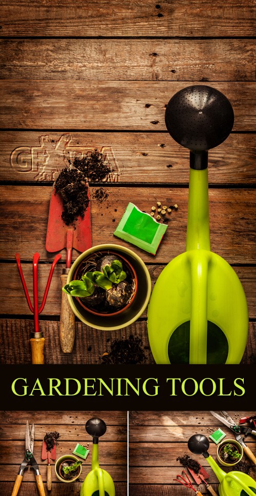 Stock Photo - Gardening Tools on Wooden Background