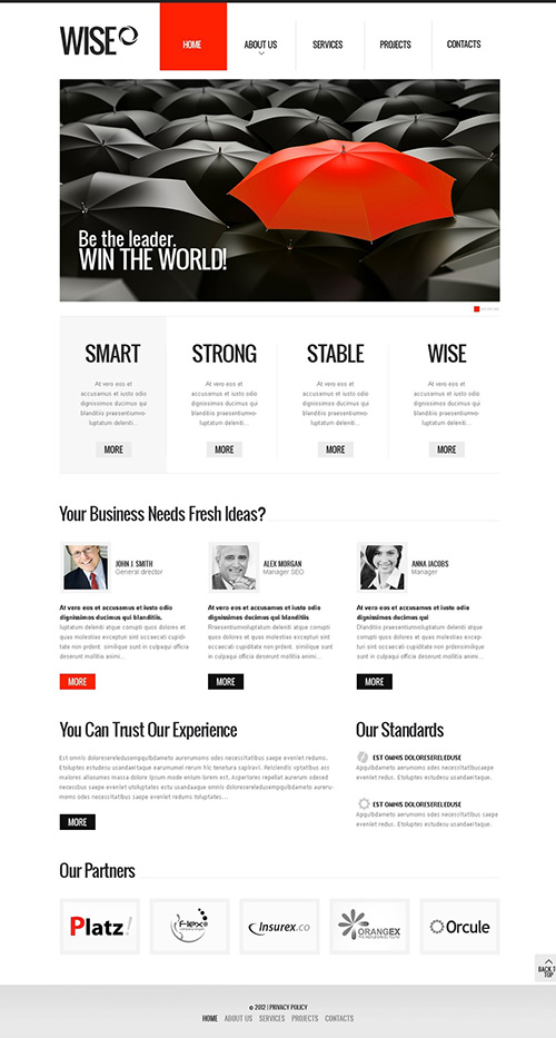 TemplateMonster - Business Website Template