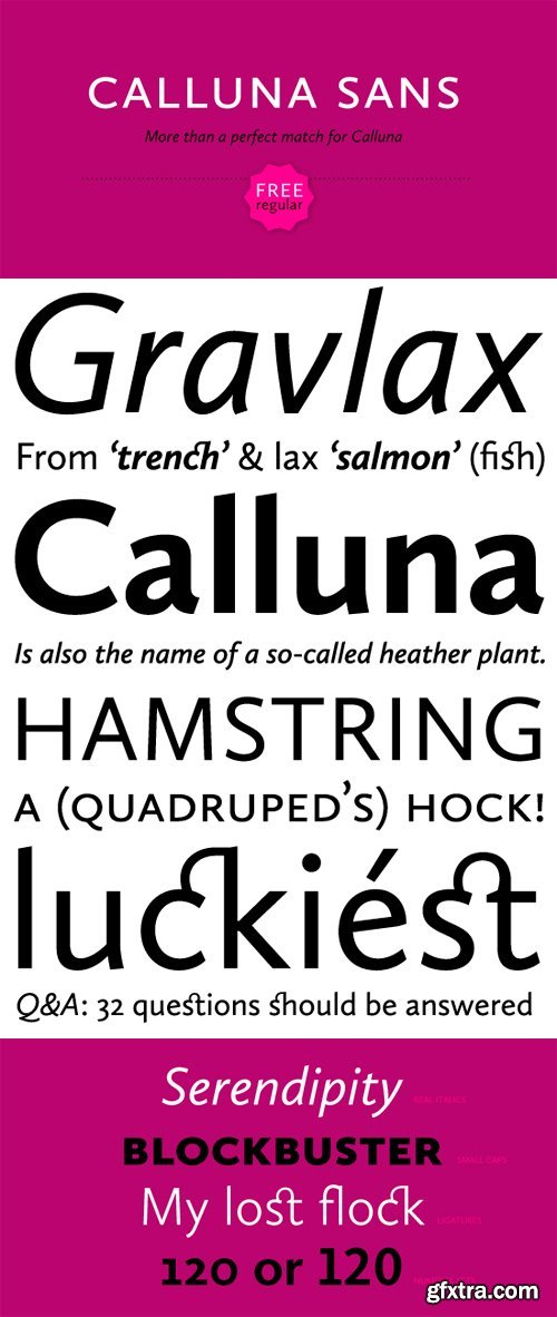 Calluna Sans Font Family - 10 Fonts for $119