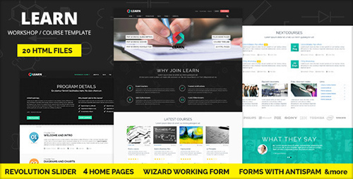 ThemeForest - LEARN - Courses, Workshop, Educational template - RIP