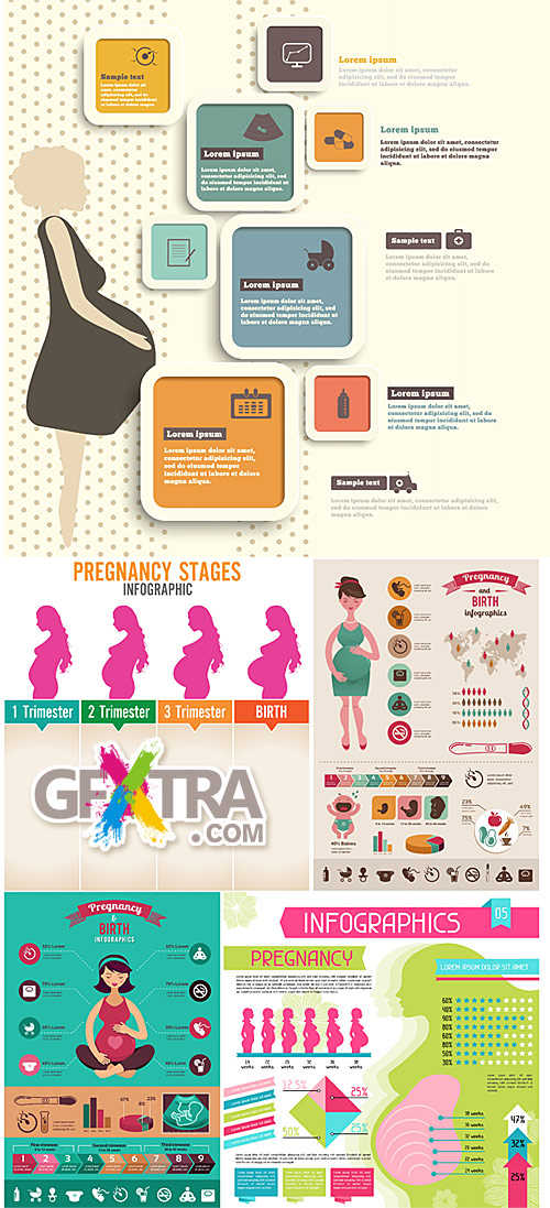 Pregnancy and birth infographics
