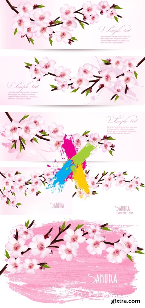 Flowering Sakura Backgrounds & Banners Vector