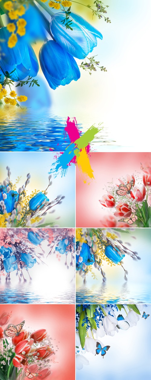 Stock Photo - Pink & Blue Tulips Cards