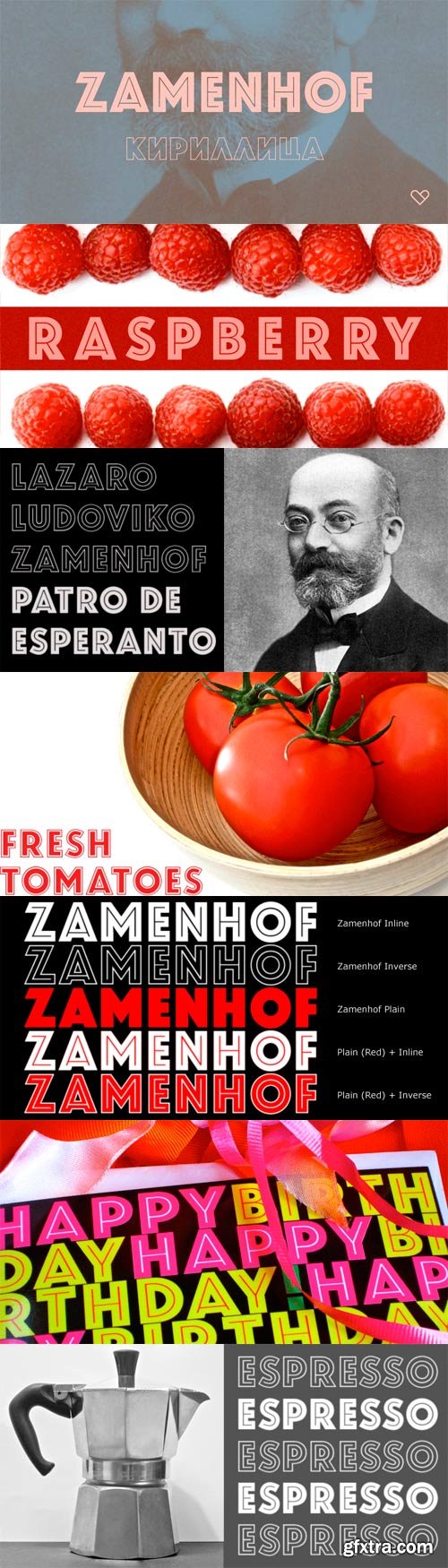 Zamenhof Font Family - 4 Fonts for $99