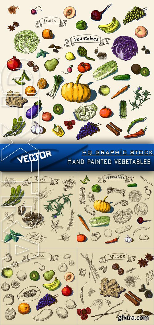Stock Vector - Hand painted vegetables