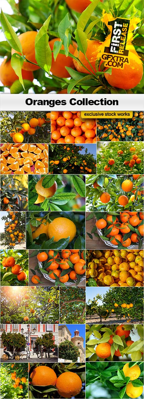 Oranges Collection - 25x JPEGs