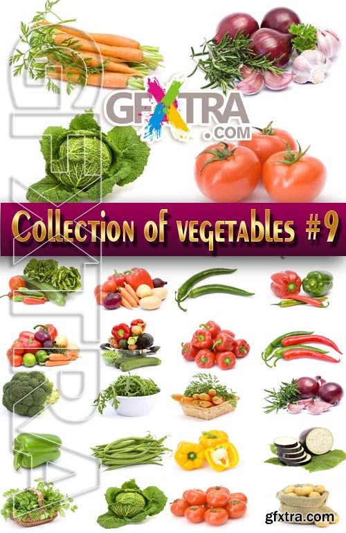 Food. Mega Collection. Vegetables #9 - Stock Photo