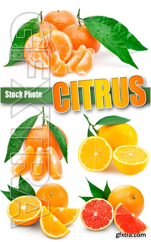 Citrus - UHQ Stock Photo