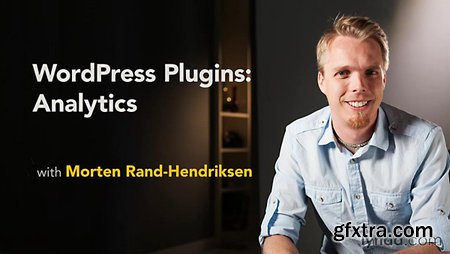 WordPress Plugins: Analytics