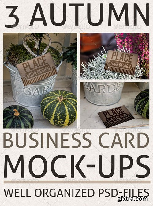 GraphicRiver - Business-Card Mockups in Autumn Scenery
