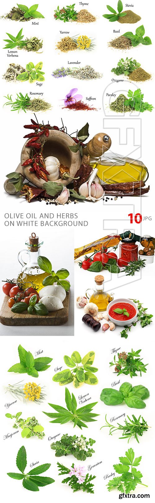 Olive Oil and Herbs on White Background 10xJPG