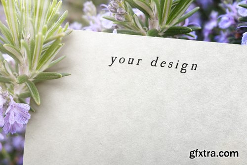 Logo Mock up Template in Plant