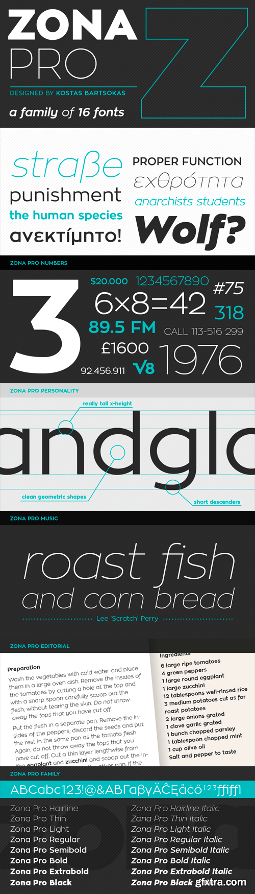 Zona Pro Font Family - 16 Fonts for $49