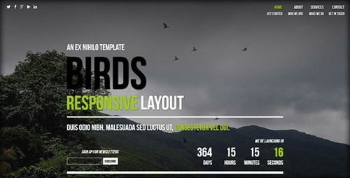 ThemeForest - Birds || Responsive Coming Soon Page - RIP