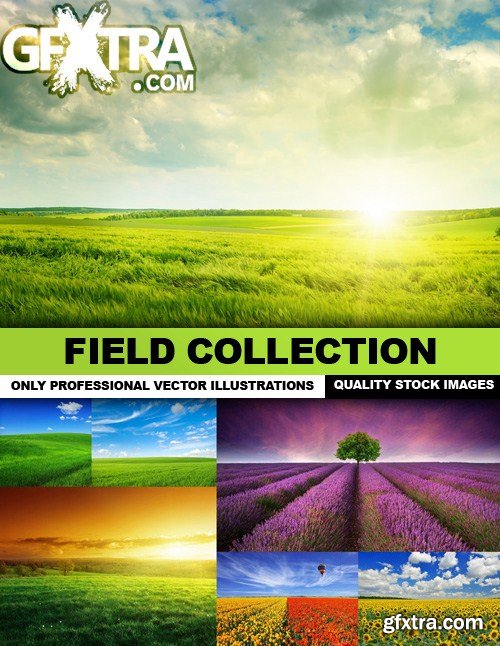Field Collection - 25 HQ Images