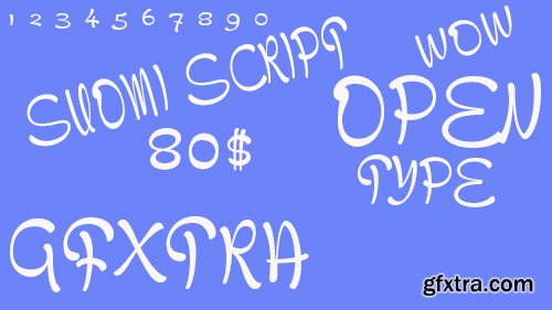 Suomi Script Font - 1 Font 80$