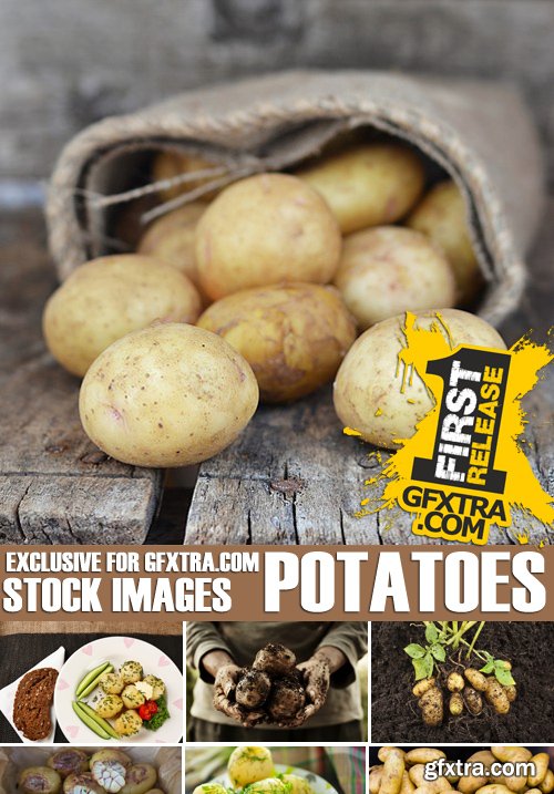 Stock Photos - Potato, 25xJPG