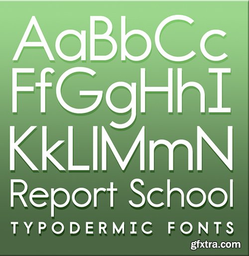 Report School Font Family - 6 Fonts 180$