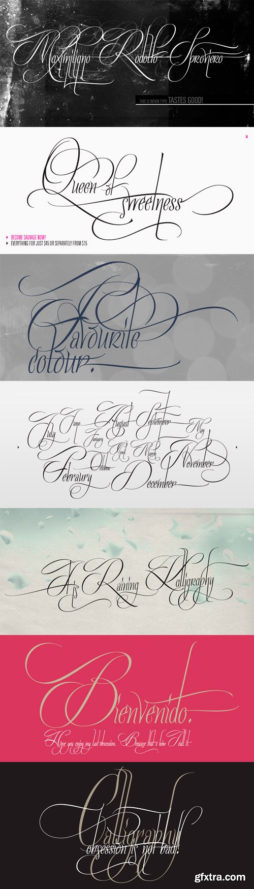 Quijote Sauvage Font Family - 8 Fonts for $115