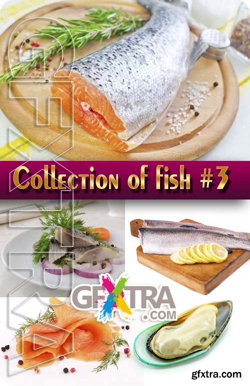 Food. Mega Collection. Fish #3 - Stock Photo