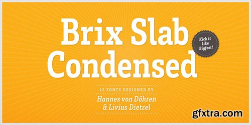 Brix Slab Condensed Font Family - 12 Font $480