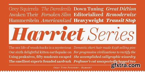 Harried Series Font Family - 20 Font $800