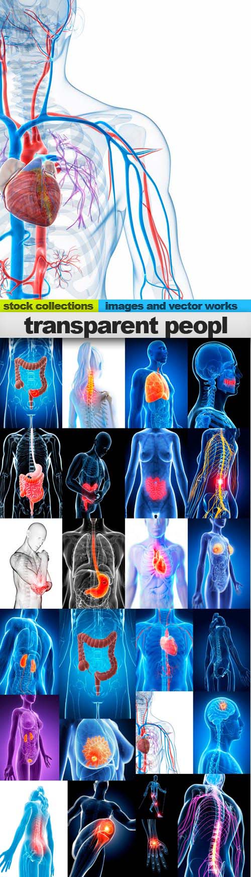 Transparent people, 25 x UHQ JPEG