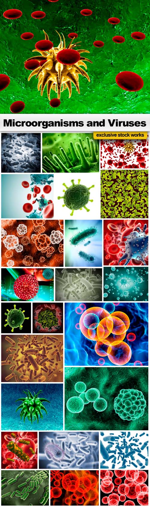 Microorganisms and viruses - 25x JPEGs