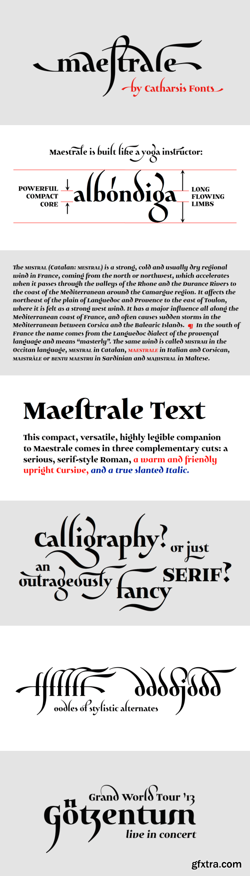 Maestrale Font Family - 5 Fonts for $60